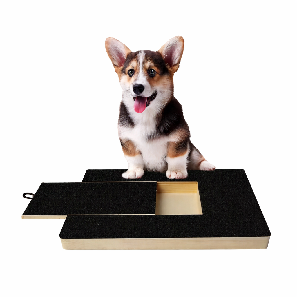 Gentle Paw Care Board
