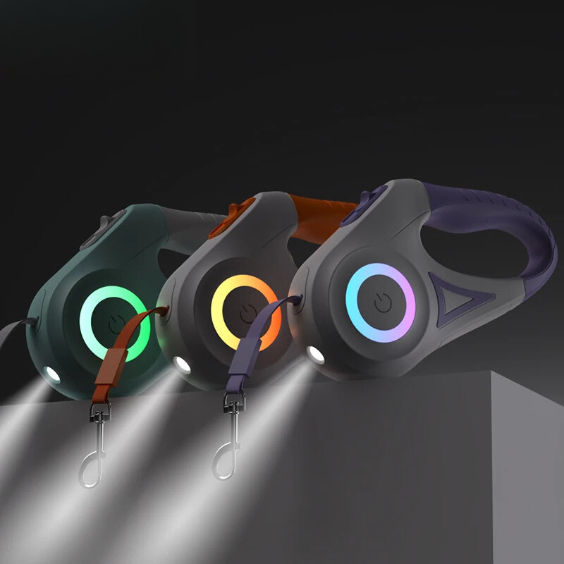 Glow-in-the-Dark Dog Leash