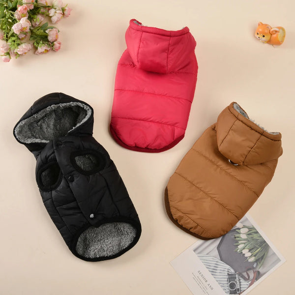 Snuggly Hooded Pet Coat