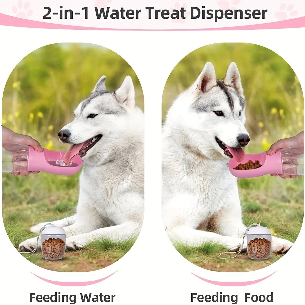 Pet Hydration On-The-Go