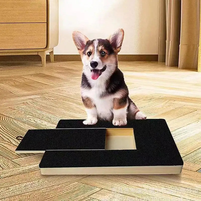 Gentle Paw Care Board
