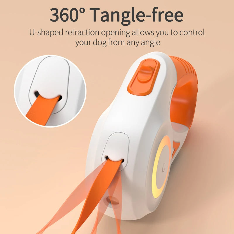 Glow-in-the-Dark Dog Leash