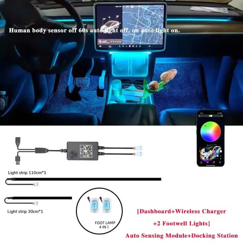 Tesla Ambient Lighting Kit