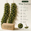 Velqari™ EverCedar Real-Touch Christmas Garland Set